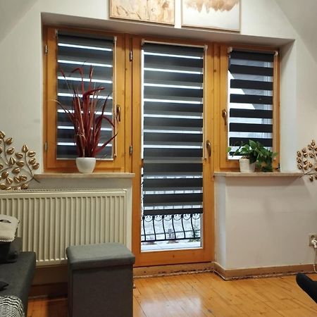 Willa Czajka - Widokowe Apartamenty Zakopane Buitenkant foto