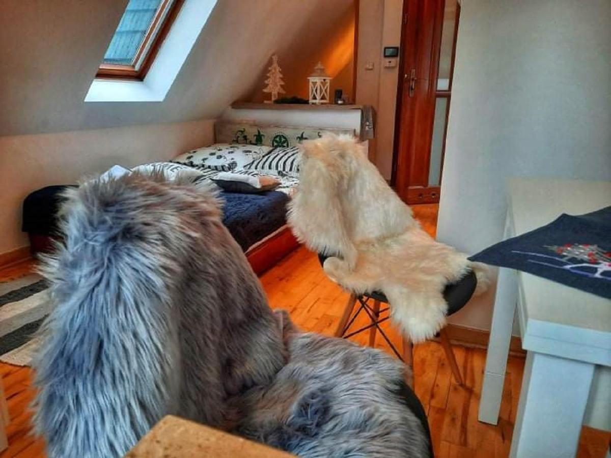 Willa Czajka - Widokowe Apartamenty Zakopane Buitenkant foto