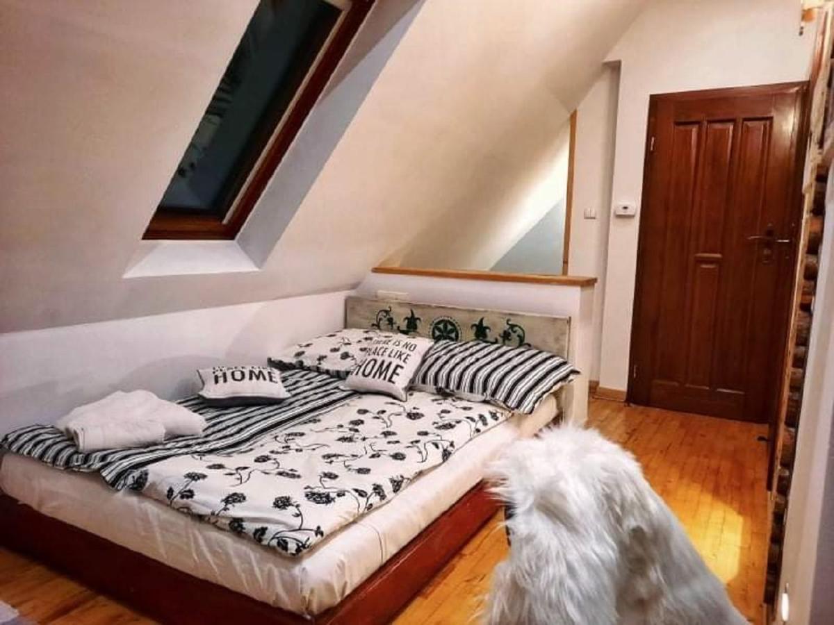 Willa Czajka - Widokowe Apartamenty Zakopane Buitenkant foto