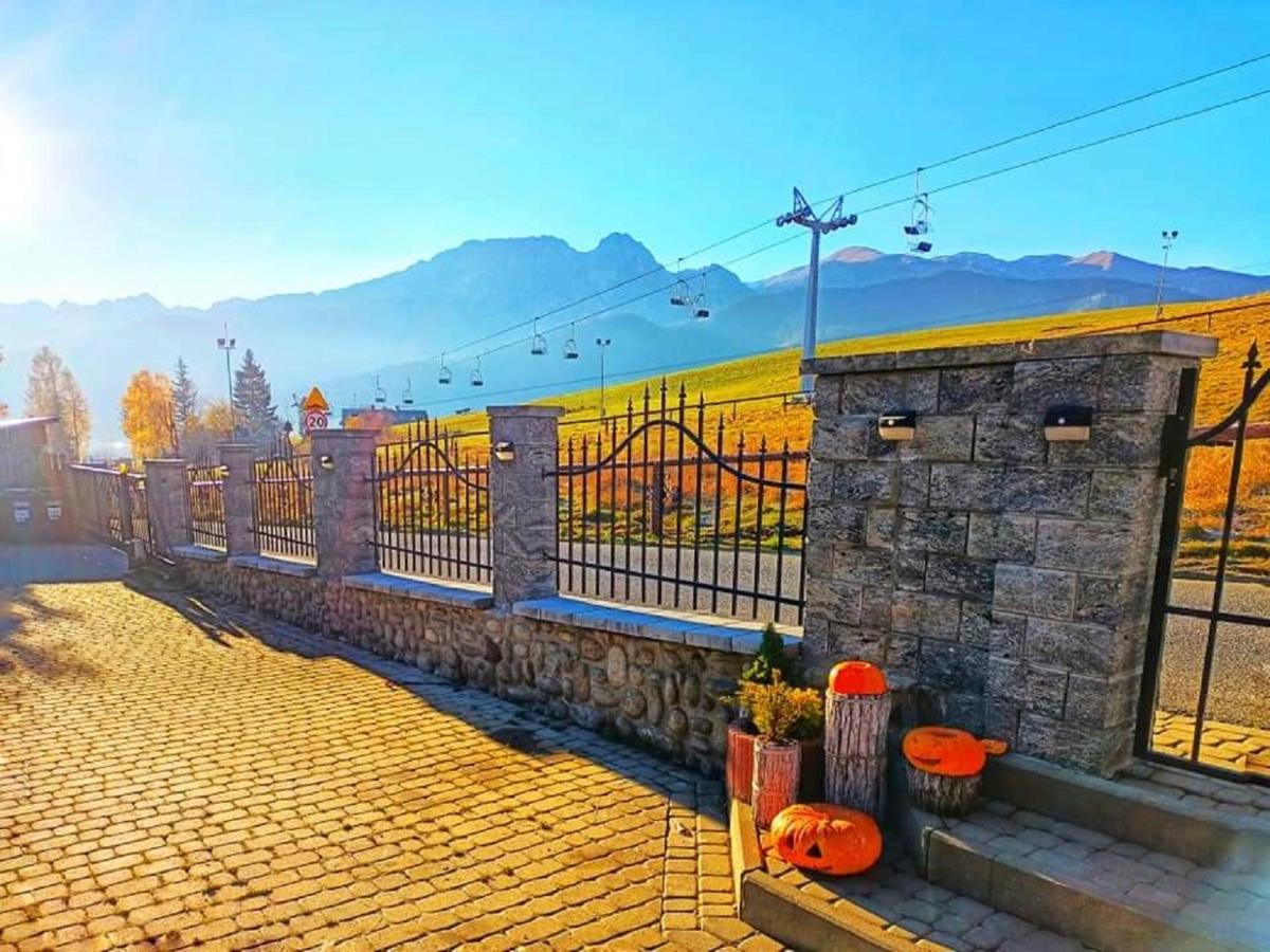 Willa Czajka - Widokowe Apartamenty Zakopane Buitenkant foto