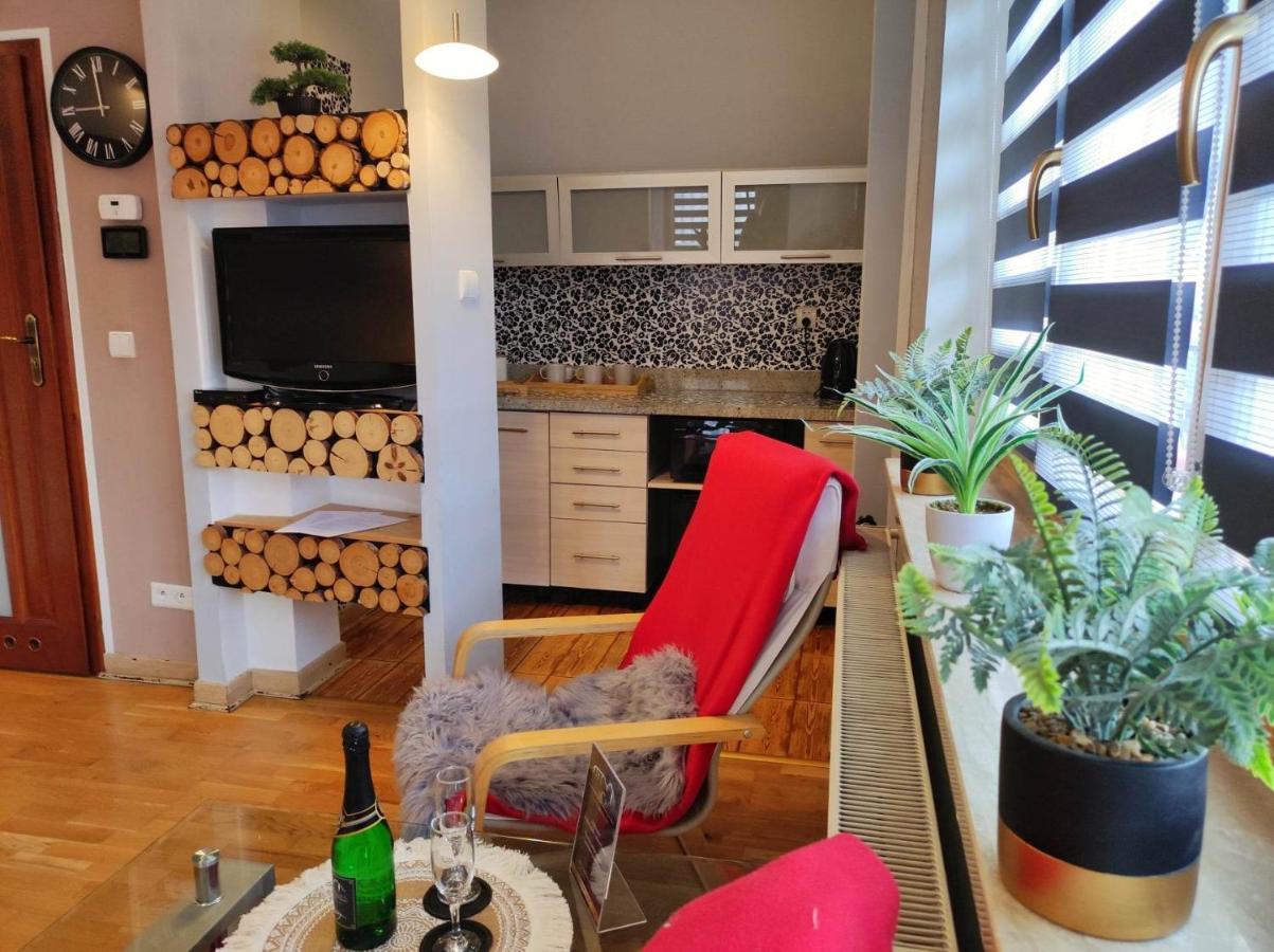 Willa Czajka - Widokowe Apartamenty Zakopane Buitenkant foto