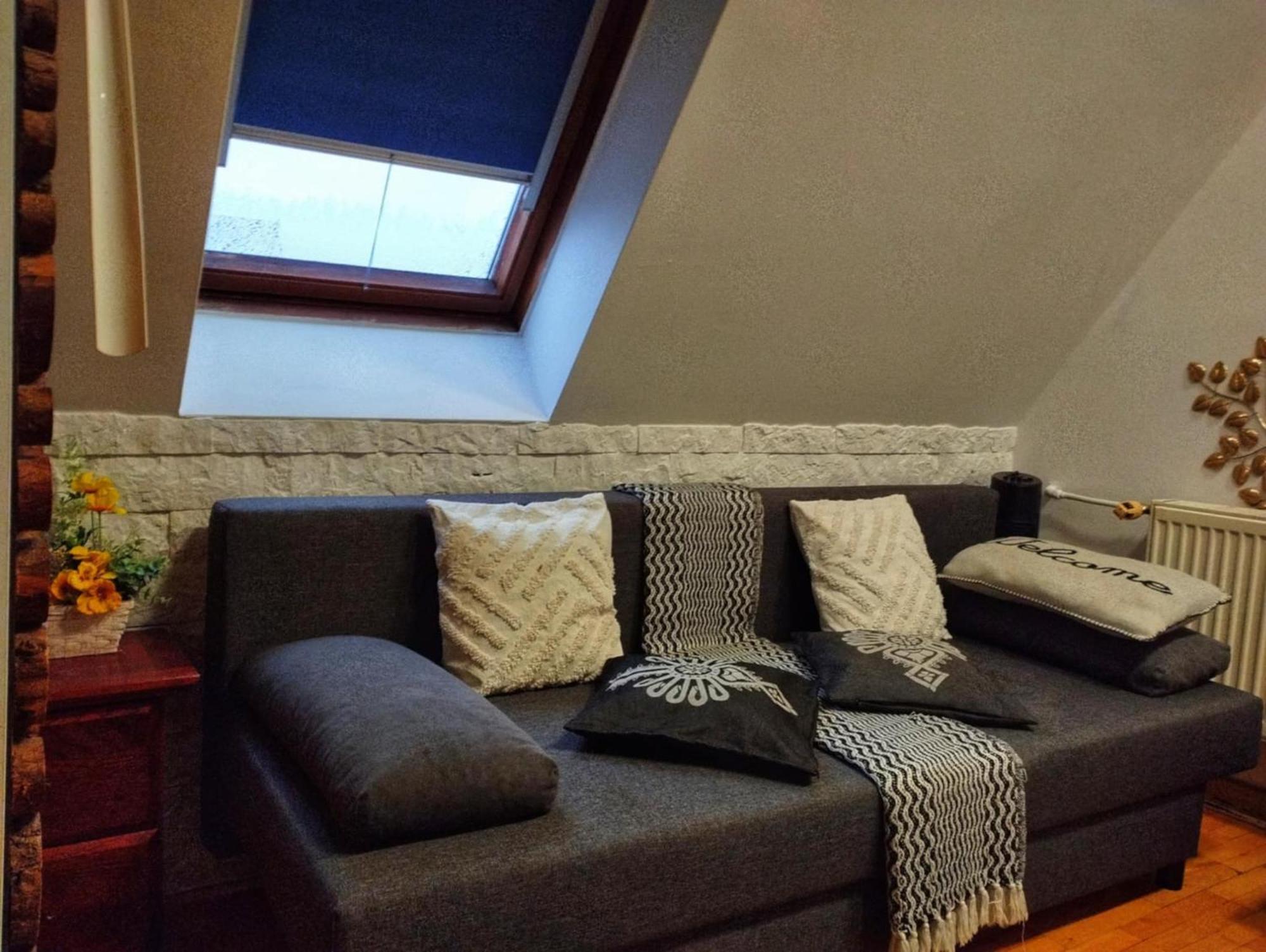 Willa Czajka - Widokowe Apartamenty Zakopane Buitenkant foto